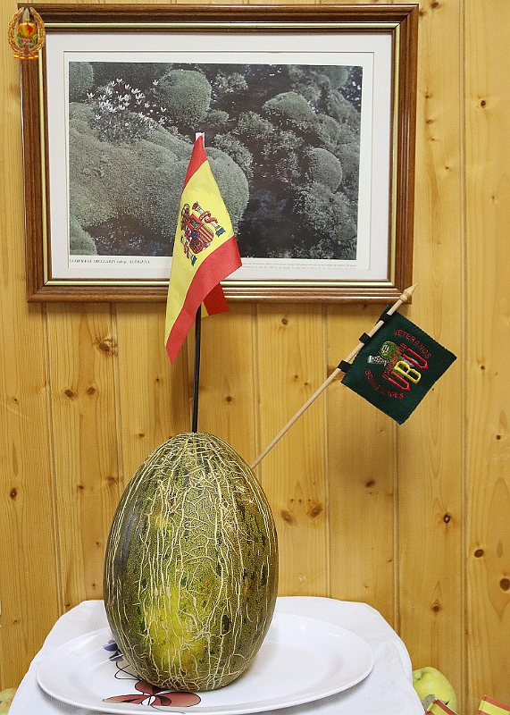 50 Aniversario 172.jpg